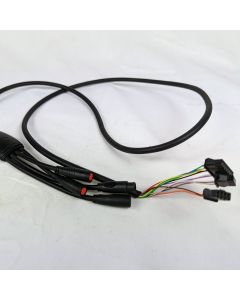 Balto Wiring Harness
